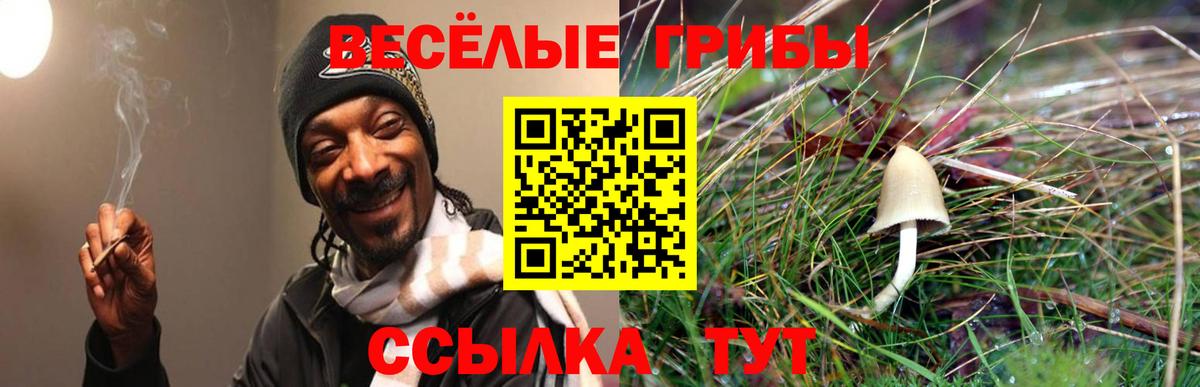 Бирск  Псилоцибиновые грибы GOLDEN TEACHER  Вход с VPN 