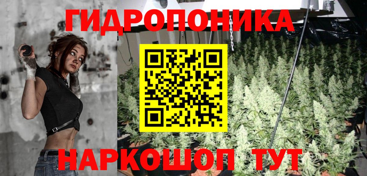 Шишки марихуана THC 21%  Шишки марихуана семена  Вход с VPN  Марихуана MAZAR  Бирск  МАРИХУАНА OG Kush 